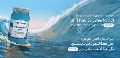 Sea Moss Gel Benefits: Is This Superfood Worth the Hype in 2026?