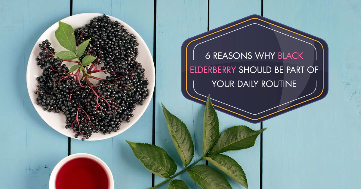 6 Reasons Why Black Elderberry Should Be Part of Your Daily Routine