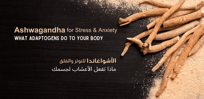 Ashwagandha for Stress & Anxiety: What Adaptogens Actually Do to Your Body