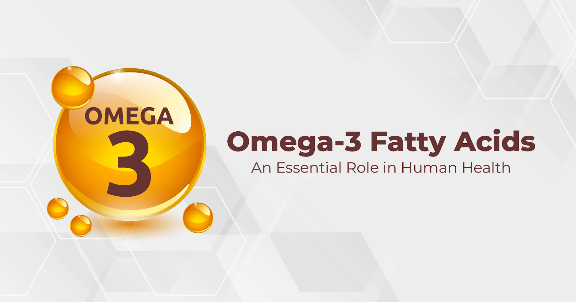 Omega-3 Fatty Acids - An Essential Role in Human Health