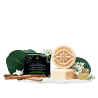 Viori Mini Shampoo & Conditioner Hair Bar Set - Hidden Waterfall