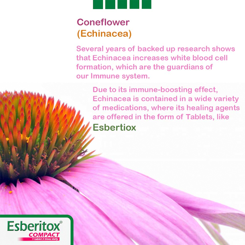Esberitox - Compact, Shorten Common Cold - 20 Tablets