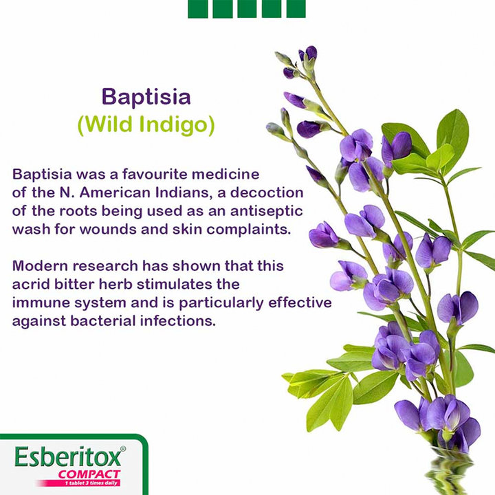 Esberitox - Compact, Shorten Common Cold - 20 Tablets