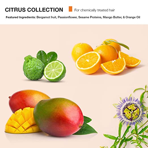Citrus Collection In Dubai